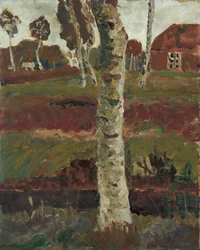 Birkenstamm am Moorgraben vor Landschaft mit Haus